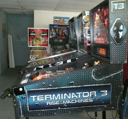 flipper stern terminator 3