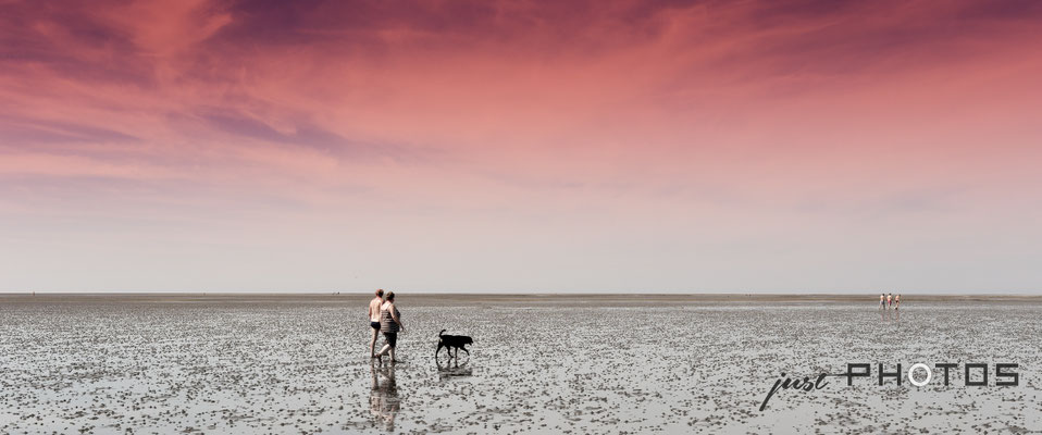 Spaziergänger mit Hund im Watt bei Ebbe an der Nordsee | Himmel rot / pink gefärbt