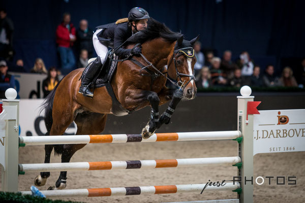 Munich Indoors - Springreiten - Pferd mit Reiter beim Sprung über ein Hindernis