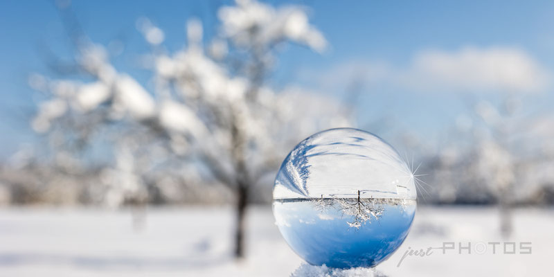 Glaskugel - verschneite Winterlandschaft mit Bäumen und blauem Himmel