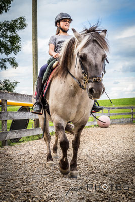 Mädchen reitet auf Pferd (Norweger)