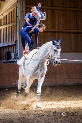 Voltigier-Turnier L-Gruppe - Schimmel mit drei Voltigierern wirbelt in der Halle Sand auf