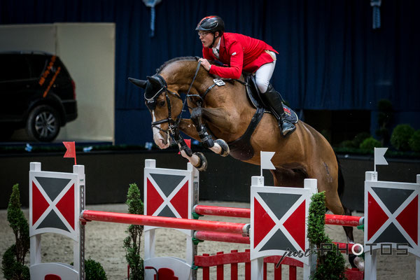 Munich Indoors - Springreiten - Pferd mit Reiter beim Sprung über ein Hindernis