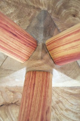 T2591  · Lagerstromie, Rosewood · Jörg Pietschmann