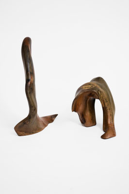 two-piece biomorphic driftwood sculpture S1346 by Jörg Pietschmann, highlighting the weathered, sea-smoothed texture and organic silhouettes of both wooden elements.