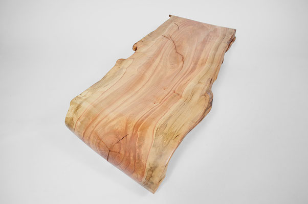 T1375 · Norway Maple