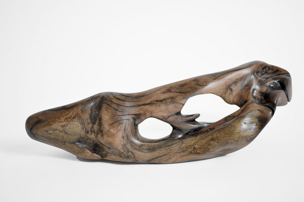 abstract tropical driftwood sculpture S1389 by Jörg Pietschmann, featuring dynamic organic curves, rich wood grain, and natural negative spaces on a white background.