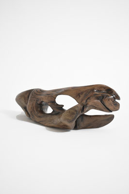 abstract tropical driftwood sculpture S1389 by Jörg Pietschmann, featuring dynamic organic curves, rich wood grain, and natural negative spaces on a white background.
