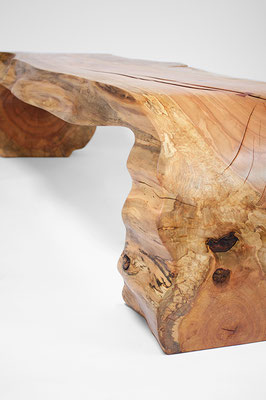B1075 · Norway Maple · Jörg Pietschmann