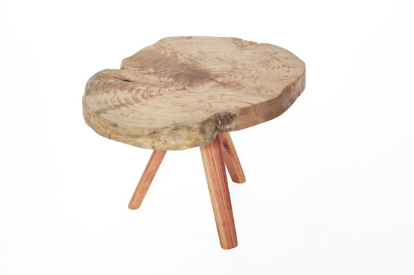 T2591  · Lagerstromie, Rosewood · Jörg Pietschmann