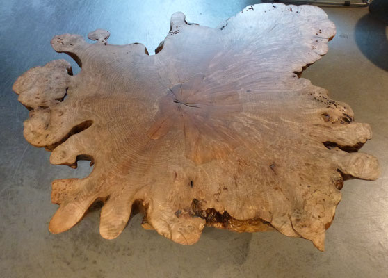 T0168 · American Maple Burl · Jörg Pietschmann