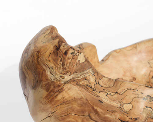 V21034 · Beech · Jörg Pietschmann