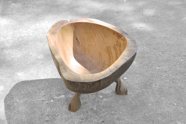 V1356 · Oak · Jörg Pietschmann