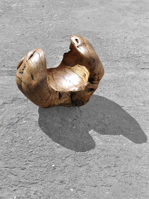 V1396 · Beech · Jörg Pietschmann