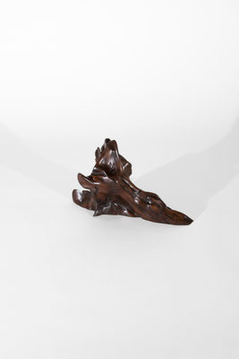 S1061 · Tropical Driftwood · Jörg Pietschmann