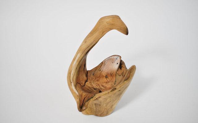 S1409 ·  Tropical Driftwood Bowl sculpture by Jörg Pietschmann