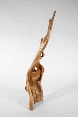 Abstract willow wood sculpture S0198 by Jörg Pietschmann, featuring a tall, flame-like vertical shape with smooth curves, natural openings, and a polished warm honey-brown texture, exhibited in a gallery room.