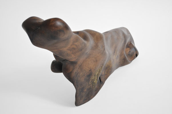 abstract biomorphic burl wood sculpture by Jörg Pietschmann, showcasing dark polished organic shapes and deep natural cavities on a white background.