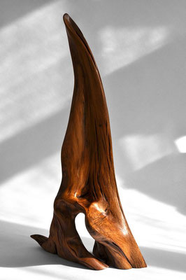 S0247 · Fir · Jörg Pietschmann · Curved sculpture made of fir wood · Powerful