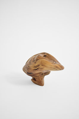Abstract Aleppo pine wood sculpture S1369 by Jörg Pietschmann, showing a polished, golden-brown organic form with fluid, swirling grain patterns, wave-like dynamic lines, and dark natural accents on a solid white studio background.
