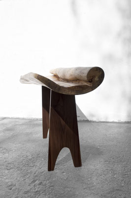    C1259 · Poplar, Europ.Walnut · Jörg Pietschmann