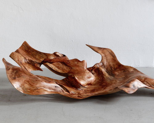 S0184 · Willow · Jörg Pietschmann: an abstract, wild, and unusual form created from the bark of a willow tree.
