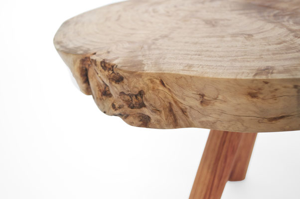 T2591  · Lagerstromie, Rosewood · Jörg Pietschmann