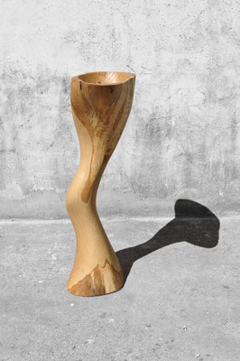 V1366 · Oak · Jörg Pietschmann