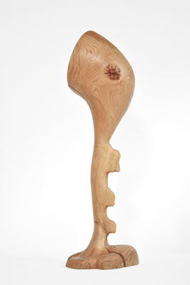 V1669 · Oak · Jörg Pietschmann