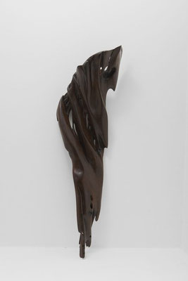 S1100 · Tropical Driftwood · Jörg Pietschmann