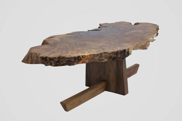 T1497 · Caucasian Walnut, European Walnut · Jörg Pietschmann