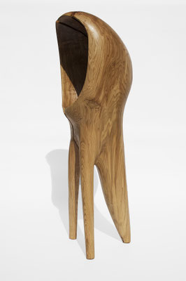V1446 · Oak · Jörg Pietschmann