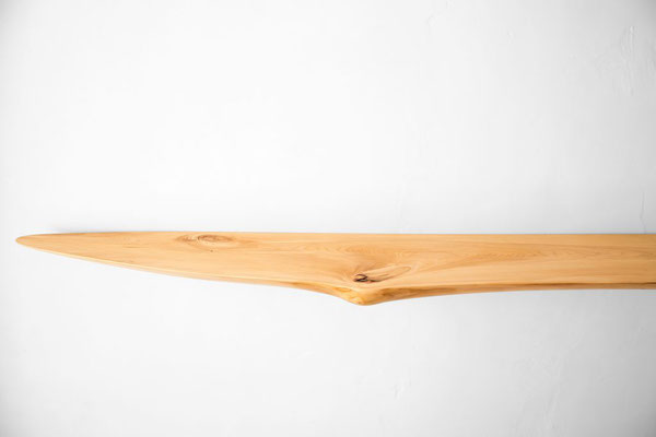 W1013 · Wych Elm · Jörg Pietschmann