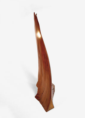 Abstract organic oak wood sculpture S0118 by Jörg Pietschmann, featuring a dynamic, curved fin-like shape with smooth polished surfaces, natural grain cracks, and a warm honey-amber tone, showcased from multiple angles against a white studio wall.
