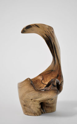 S1409 ·  Tropical Driftwood Bowl sculpture by Jörg Pietschmann