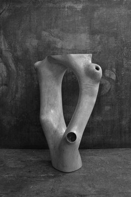 C1051 · Beech · Jörg Pietschmann