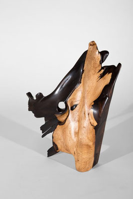 Abstract tropical foundwood sculpture S1083 by Jörg Pietschmann, featuring a striking dual-tone contrast between smooth dark-brown polished heartwood and a light honey-colored sapwood base, with a central organic hole and fluid, jagged edges on a white ba