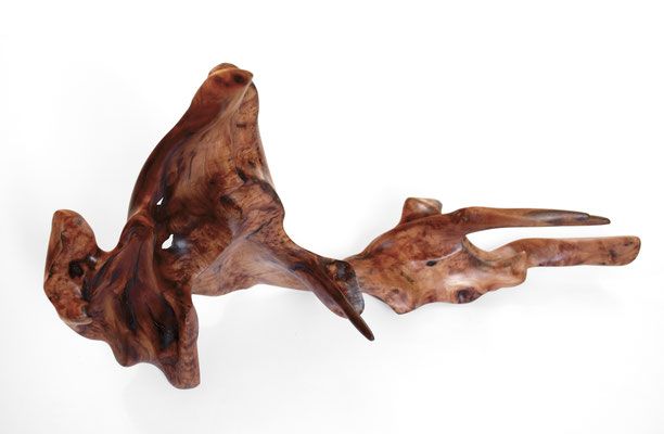 Abstract mastix bush root sculpture S1090 by Jörg Pietschmann, featuring polished reddish-brown wood with intense grain patterns, fluid organic shapes, and branch-like prongs on a solid white background.