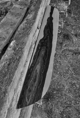W1121 · Cocobolo · Jörg Pietschmann