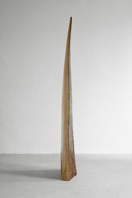 Tall, minimalist organic wood sculpture by Jörg Pietschmann, shaped like a slender, gently curved tusk or blade, displaying a stark contrast between a rough, textured brown exterior and a smooth, light natural wood profile, standing in a studio room.