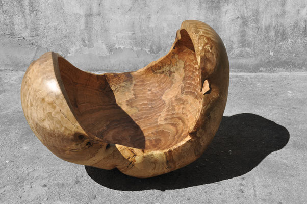 V1346 · Beech · Jörg Pietschmann
