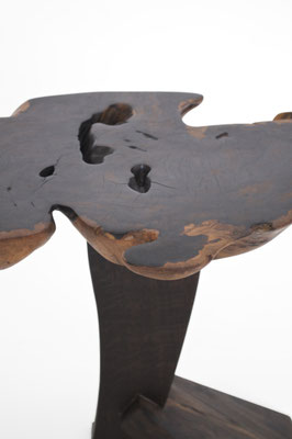 T2551 · Zirikote, Bog Oak · Jörg Pietschmann