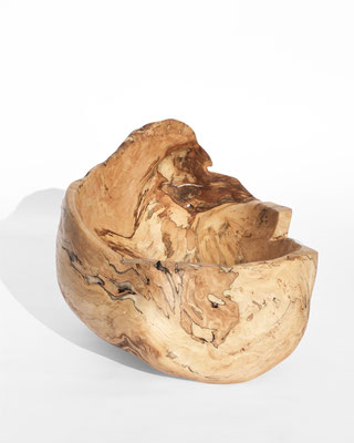 V21034 · Beech · Jörg Pietschmann