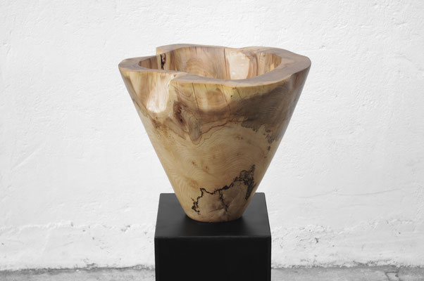 V1426 · Elm · Jörg Pietschmann