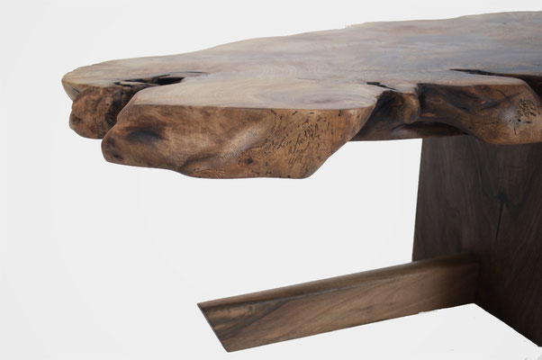 T1497 · Caucasian Walnut, European Walnut · Jörg Pietschmann