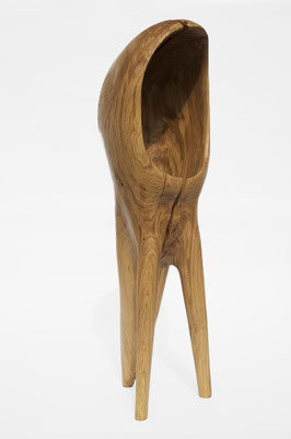 V1446 · Oak · Jörg Pietschmann