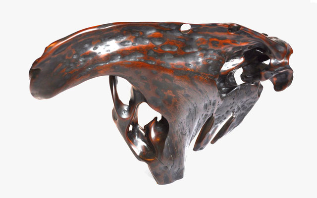 Abstract tropical driftwood sculpture S1202 by Jörg Pietschmann, featuring a dynamic, arched organic form made of highly polished dark wood with vibrant amber-orange inclusions, natural hollows, and unique texturing, isolated on a white background.