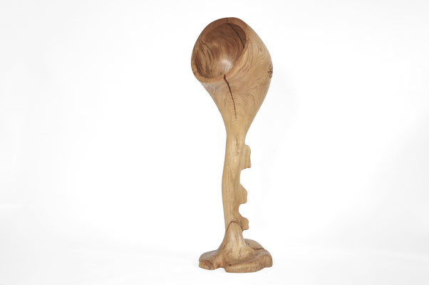 V1669 · Oak · Jörg Pietschmann