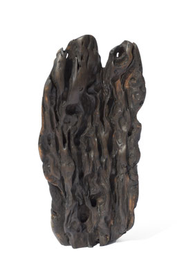 W2280 · Trop.Driftwood · Jörg Pietschmann