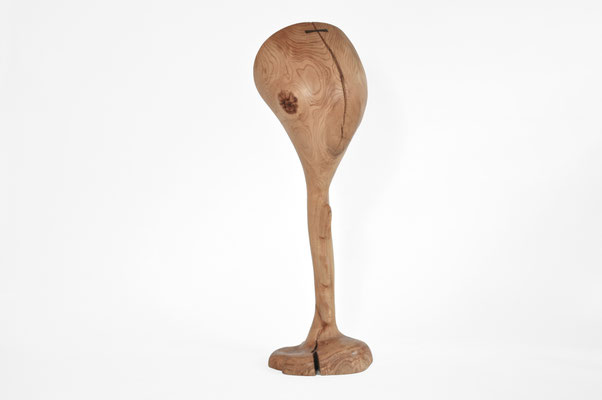 V1669 · Oak · Jörg Pietschmann